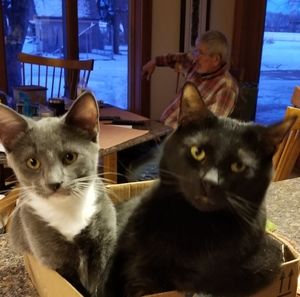 Meet your Posher, Lisa